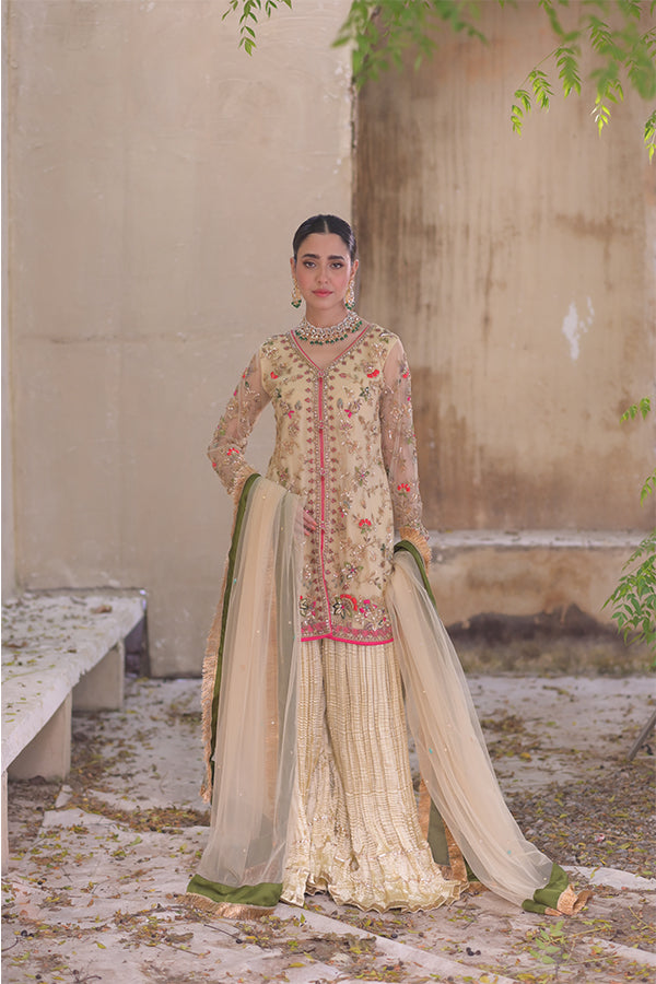 Roshni روشنی