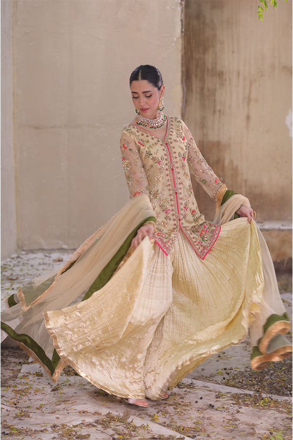 Roshni روشنی