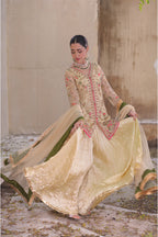 Roshni روشنی