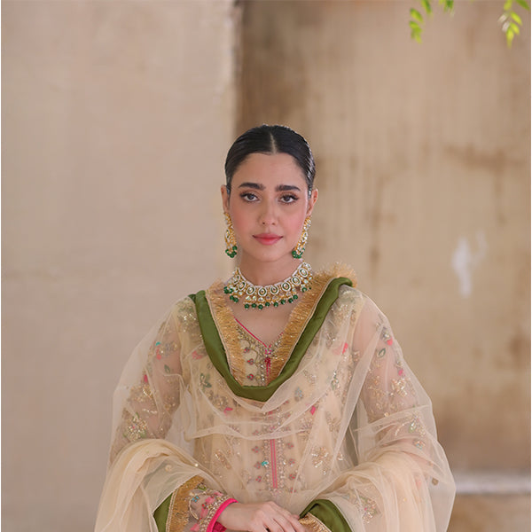 Roshni روشنی
