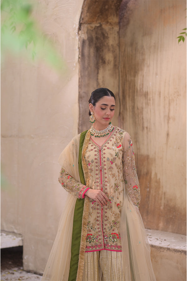 Roshni روشنی