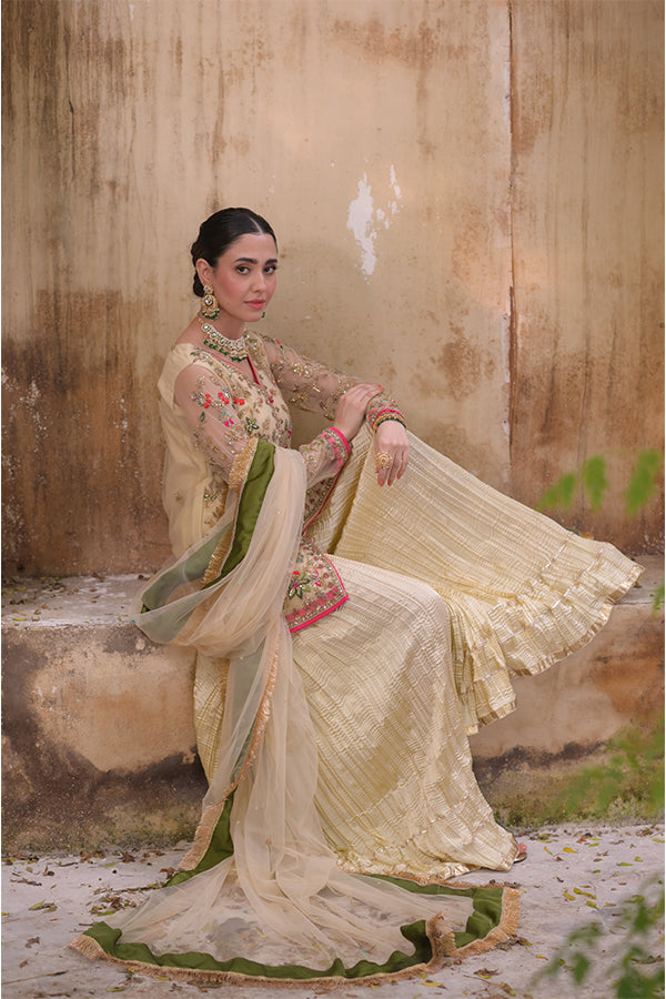 Roshni روشنی