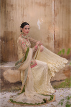 Roshni روشنی